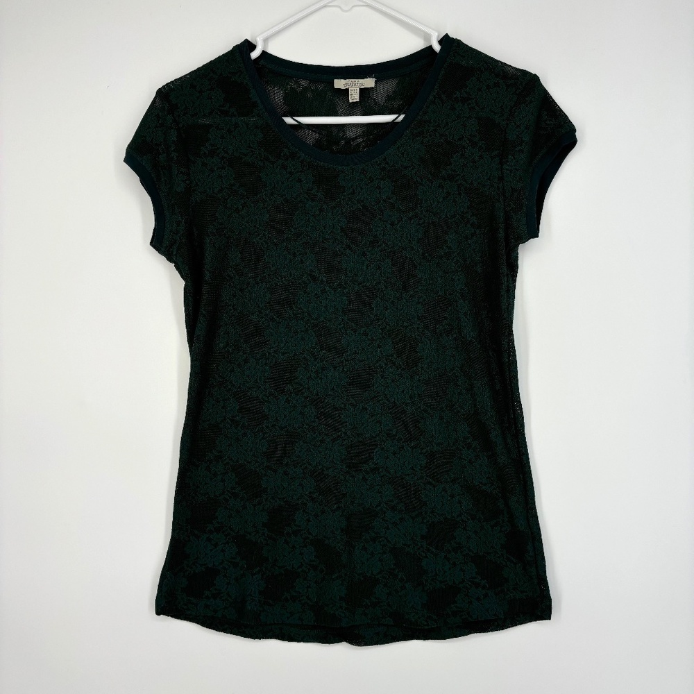 Zara Trafaluc Womens Small XS Stretch Lace T-Shirt Green Floral Sheer Short Slv